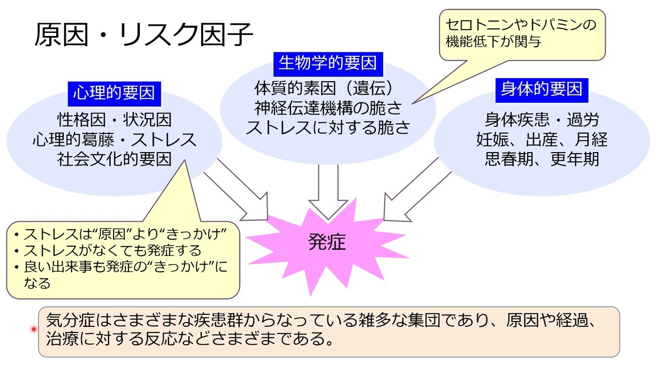 医療観察法支援者研修No.43】気分症（うつ病、双極症） - YouTube