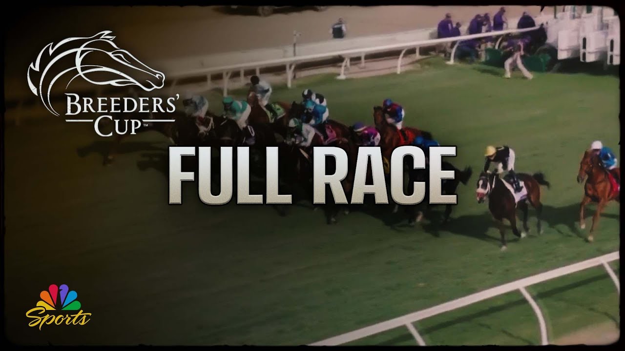 Breeders' Cup 2024: Filly & Mare Turf (Full Race) | NBC Sports