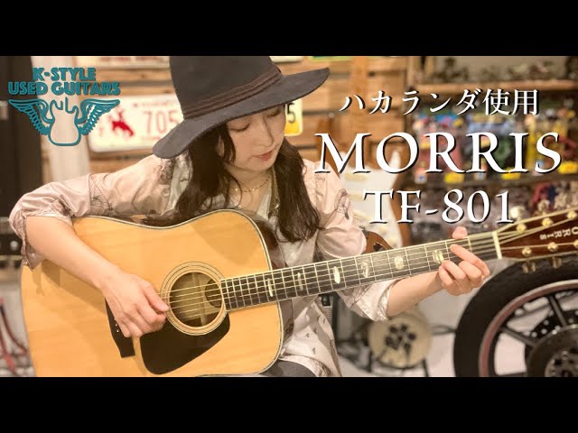 ハカランダ使用上質アコギ】MORRIS / TF-801【K-STYLE USED GUITARS