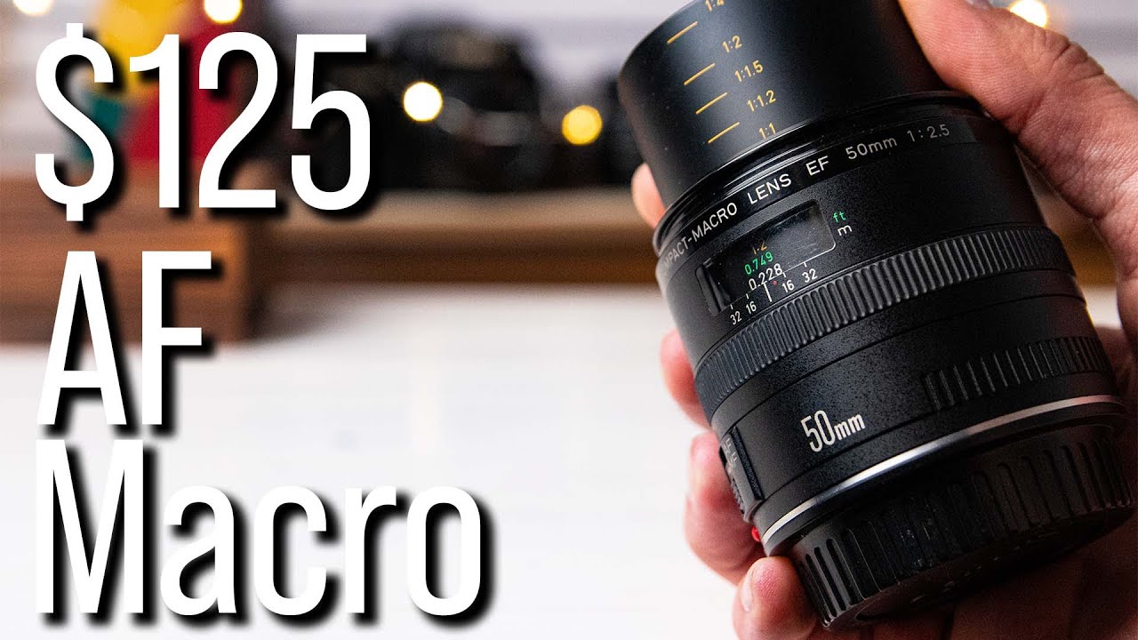 Canon EF 50mm f2.5 Compact Macro review with sample images (4K