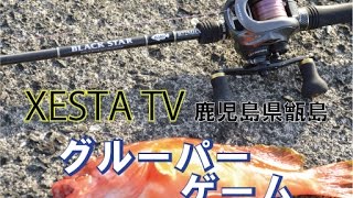 PLAT/xesta blackstar hard b72mhx rockin bait hunter-Fishing Tackle