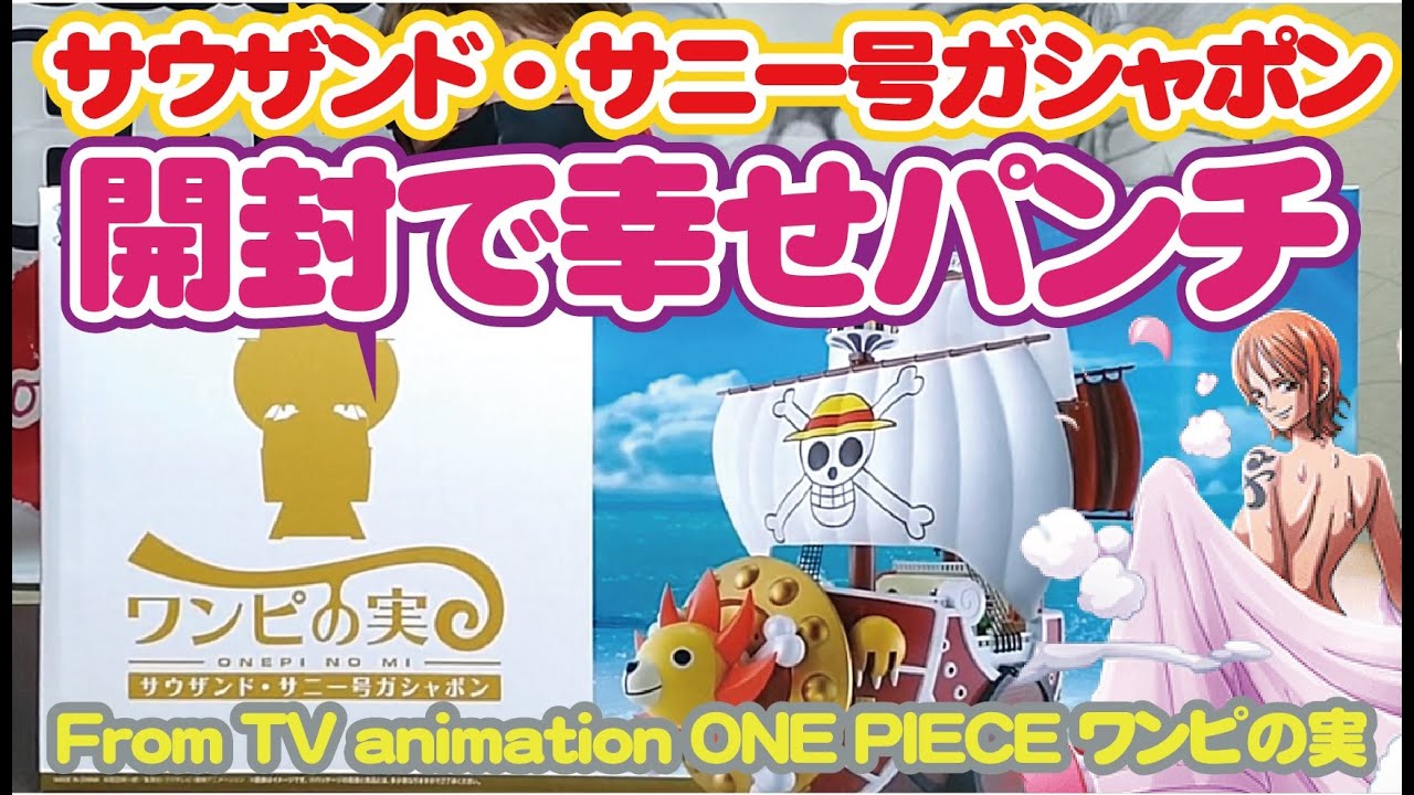 ワンピース】サウザンド・サニー号ガシャポン ～From TV animation ONE
