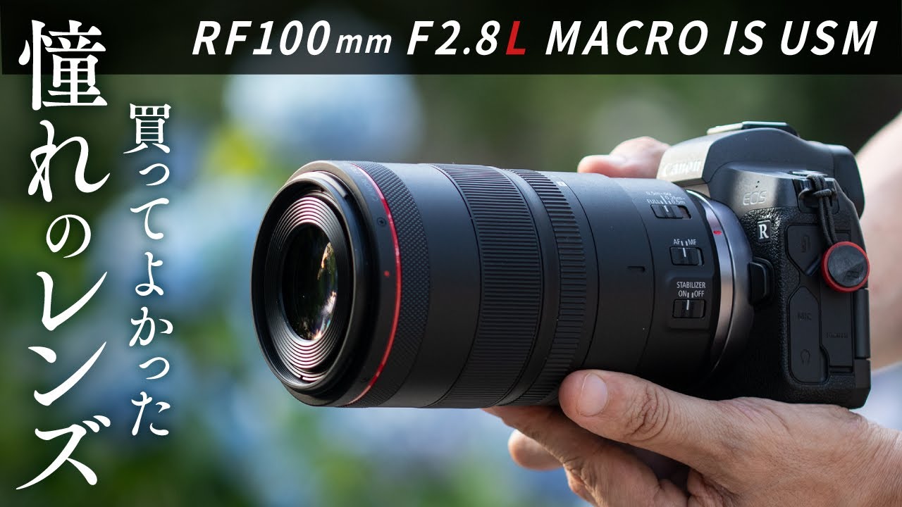 レンズレビュー】買ってよかった！憧れのキヤノン RF100mm F2.8L MACRO