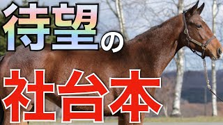 神本】社台スタリオンブックが届いたのでレビュー！種牡馬好きなら価値