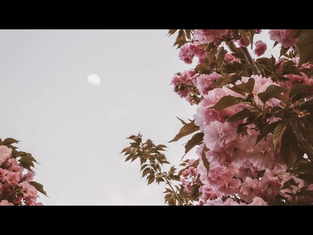 machi (倉橋ヨエコ) - country color - YouTube