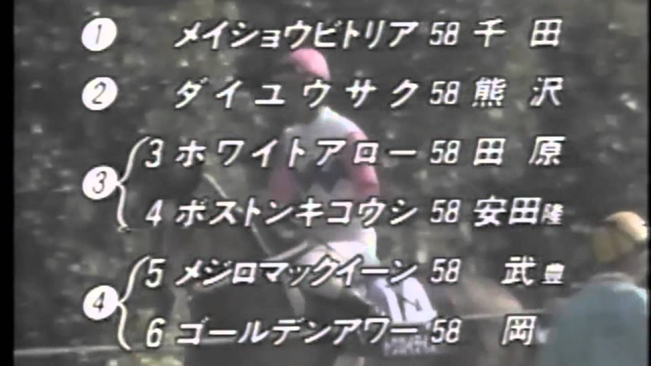 第105回天皇賞(春) メジロマックイーン 武豊 - YouTube