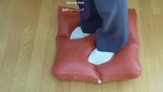 車中泊車DIY 番外編【脳幹トレーニング】天然ゴムクッションで免疫力