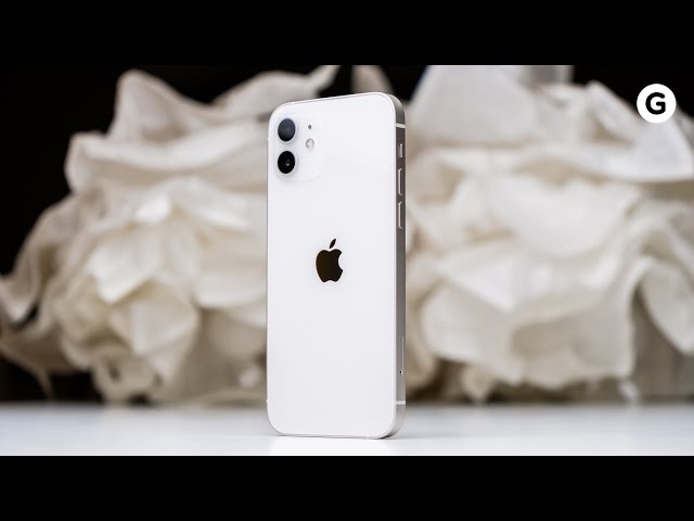 iPhone 12] White is a surprisingly good color (taken with the