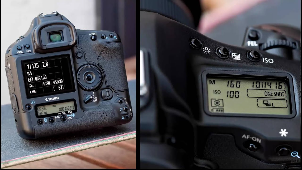 Canon EOS 1D Mark IV - Camera Display Settings and Display