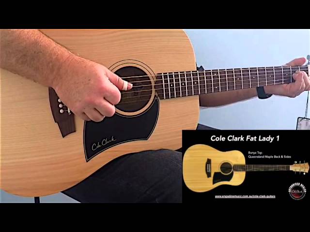 Cole Clark Fat Lady 1 Bunya Maple Tone Woods Demo - YouTube