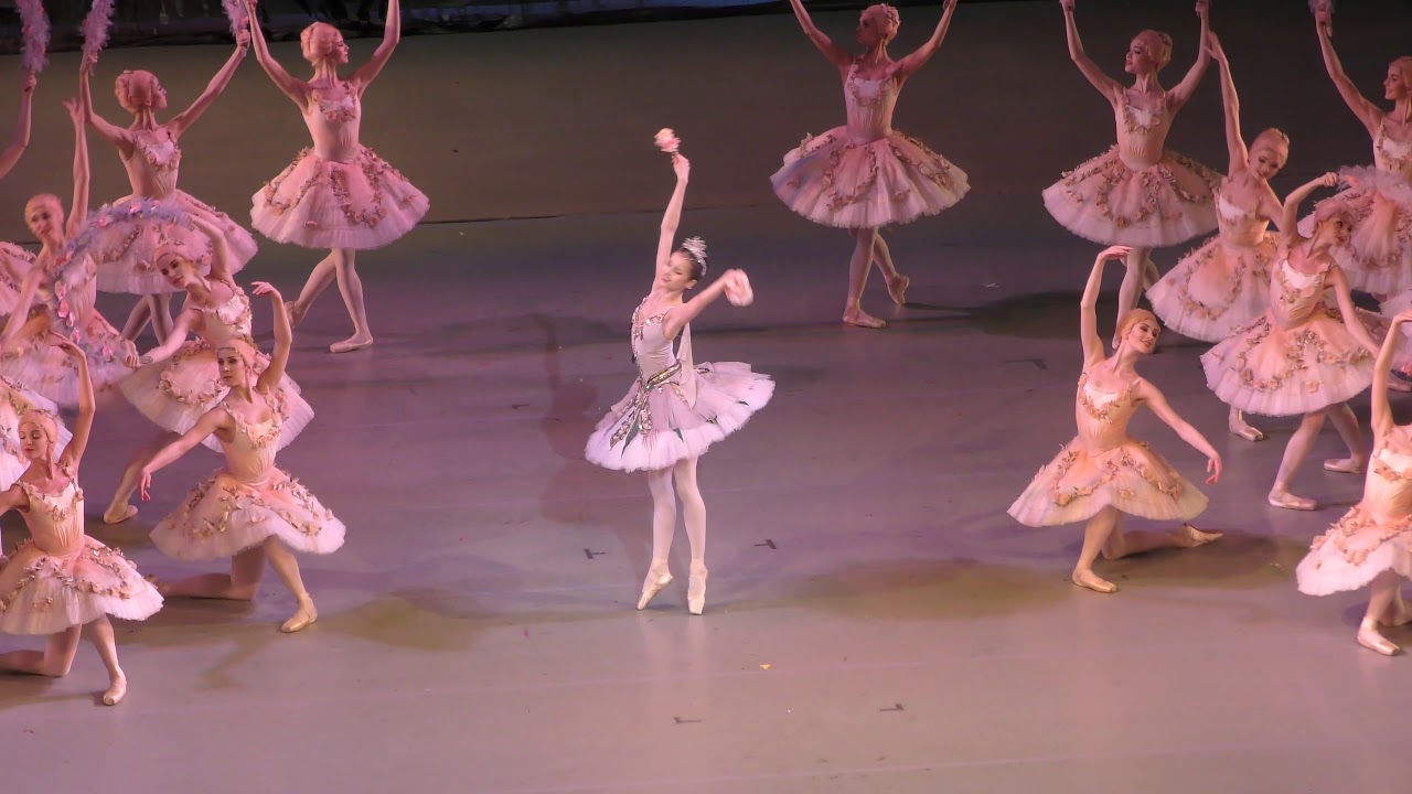 海賊」（アリョーナ・コジョカル／イングリッシュ・ナショナル・バレエ