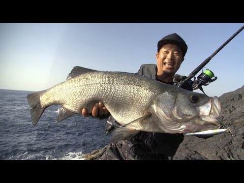 松岡豪之 ヒラスズキ攻略マニュアル × EXSENCE GENOS S110MH/R 