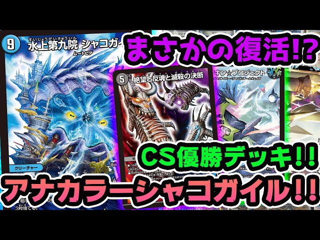 衝撃】アナカラーシャコガイルが令和にまさかの復活!?CS優勝デッキ紹介