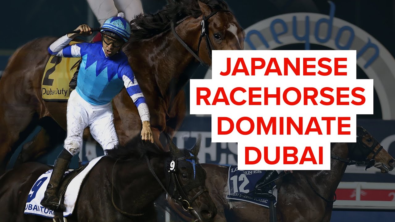 TOP 10 BEST JAPANESE RACEHORSE WINS: ジェンティルドンナ
