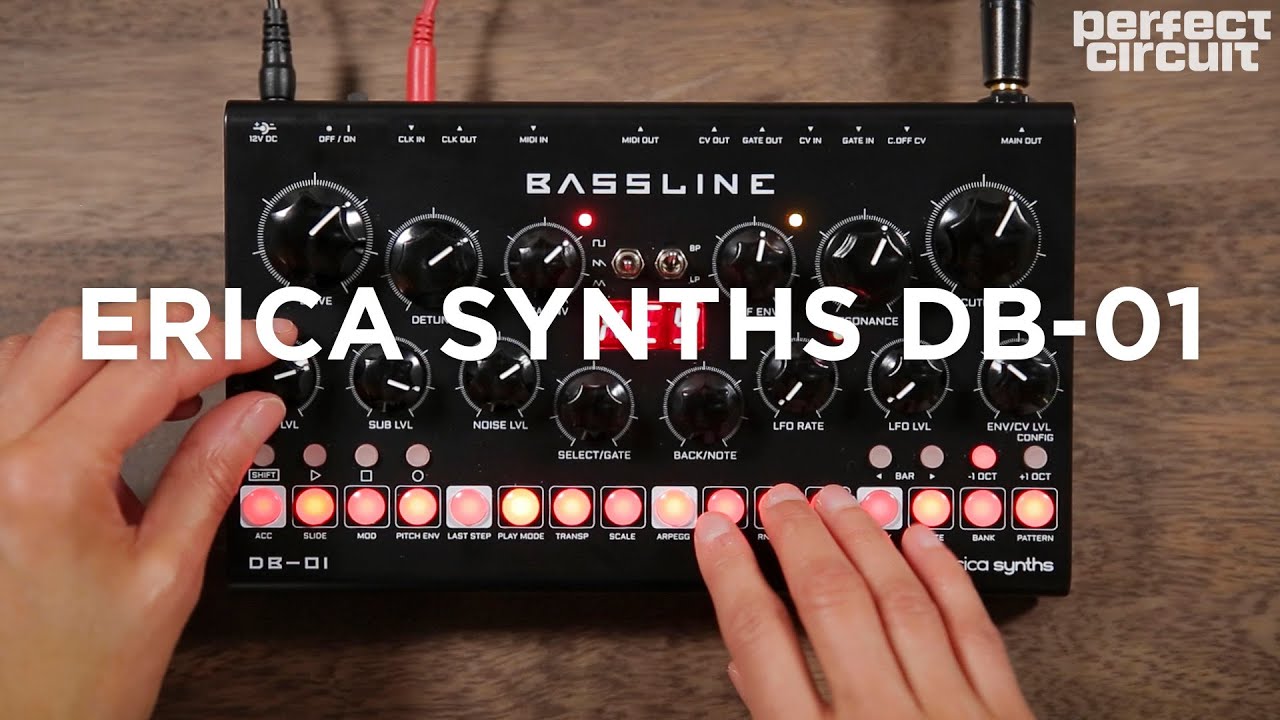 Erica Bassline DB-01 Analog Bass Synthesizer - Perfect Circuit