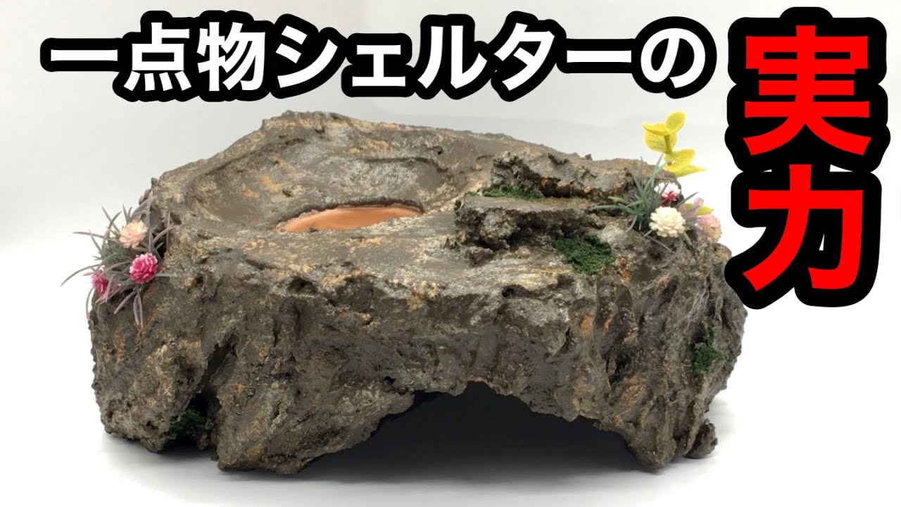 オシャレでリアルで機能的！職人自作のウェットシェルターの実力