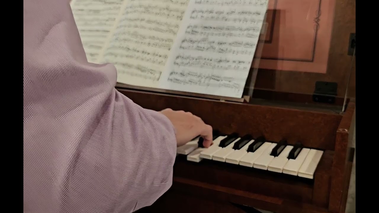 ドメニコ・スカルラッティ: ソナタ ロ短調 Domenico Scarlatti:Sonata