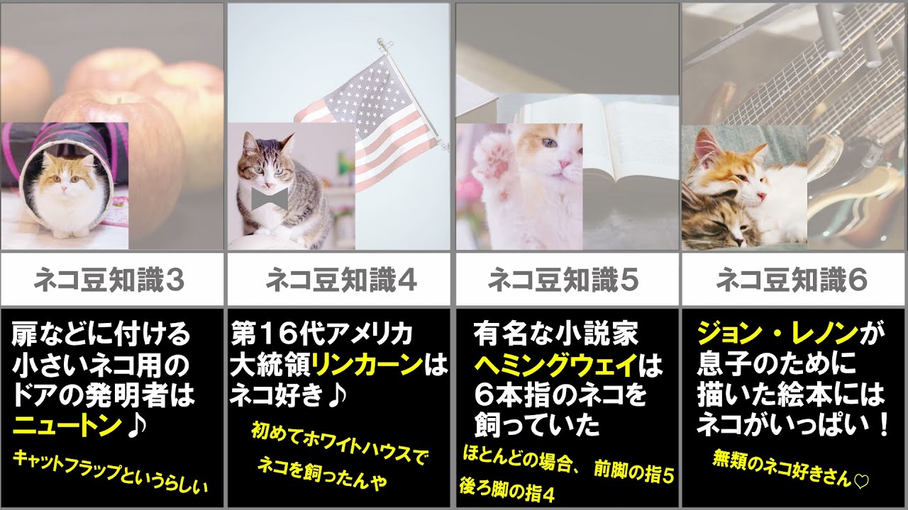 maxresdefault.jpg?sqp=-