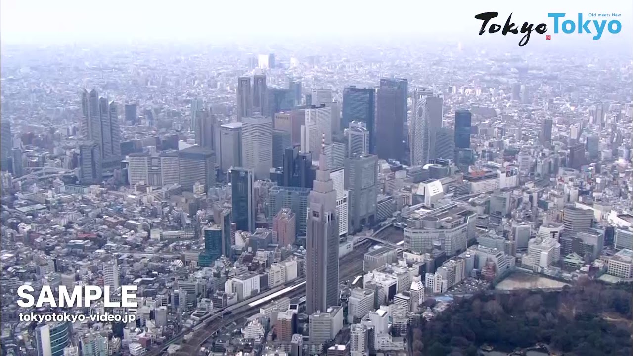 Tokyo Footage] Tokyo Aerial | 空から見た東京（空撮）（Tokyo Japan