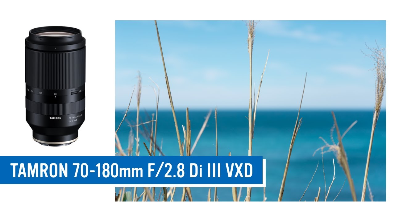 望遠ズームのスナップ楽しい / TAMRON 70-180mm F2.8 Di III VXD 作例