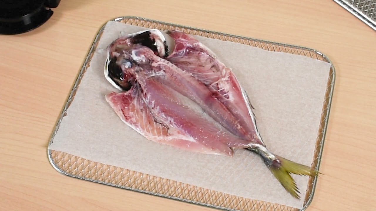 潮の音 干物メーカー (しおのね) HSN-1 フードドライヤー ドライ