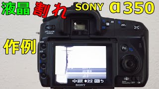 ジャンク】2200円 SONY A350買ったら液晶割れてた 動作検証・作例動画