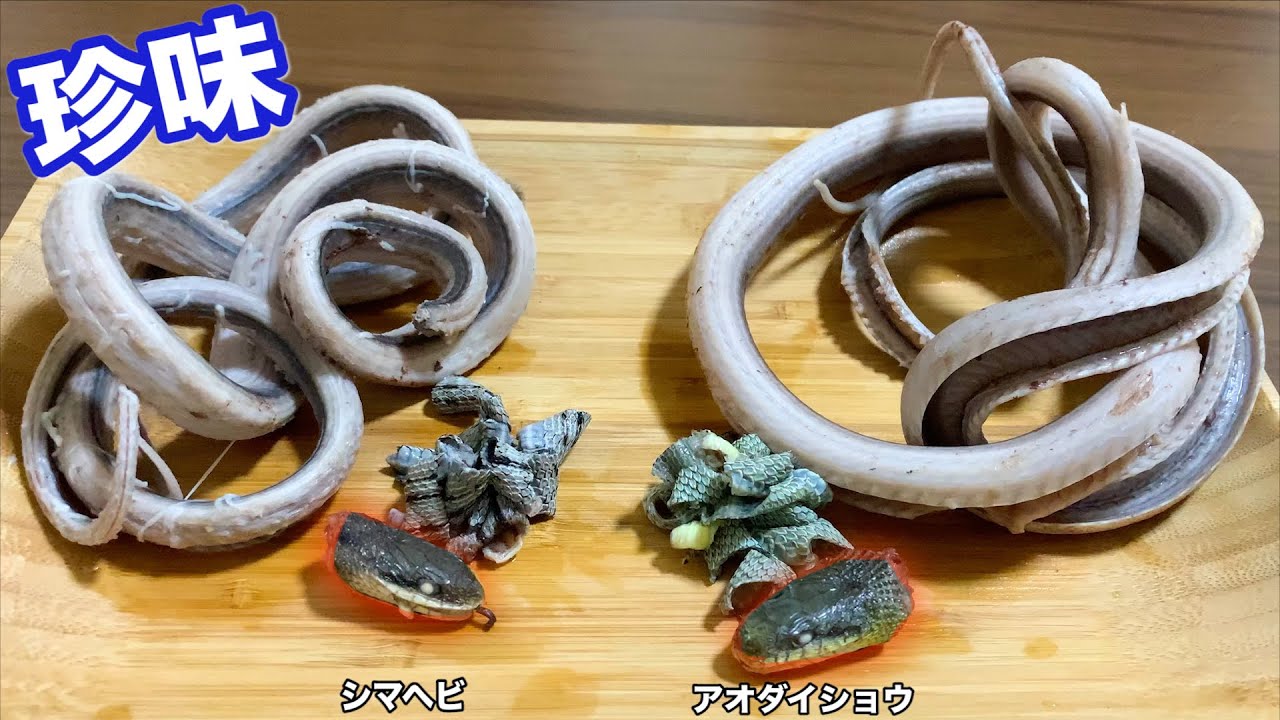 We tried comparing the taste of wild snakesand the difference