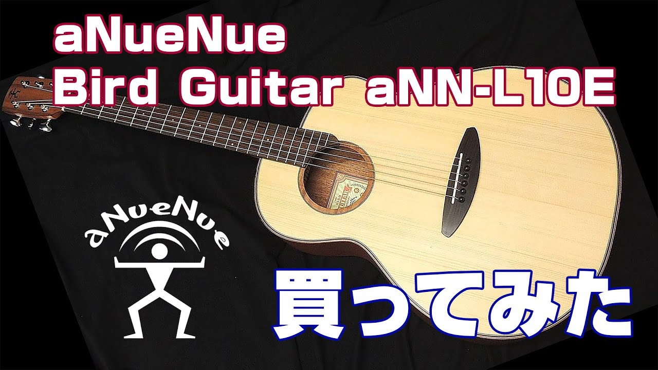 アヌエヌエ aNueNue Bird Guitar aNN-L10E 購入（生音とピックアップの