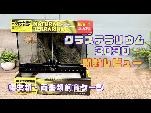 GEX エキゾテラ グラステラリウム3030 開封！使い勝手やおすすめ