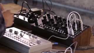 Moog Mother-32 | セミモジュラー・アナログシンセ | Digiland