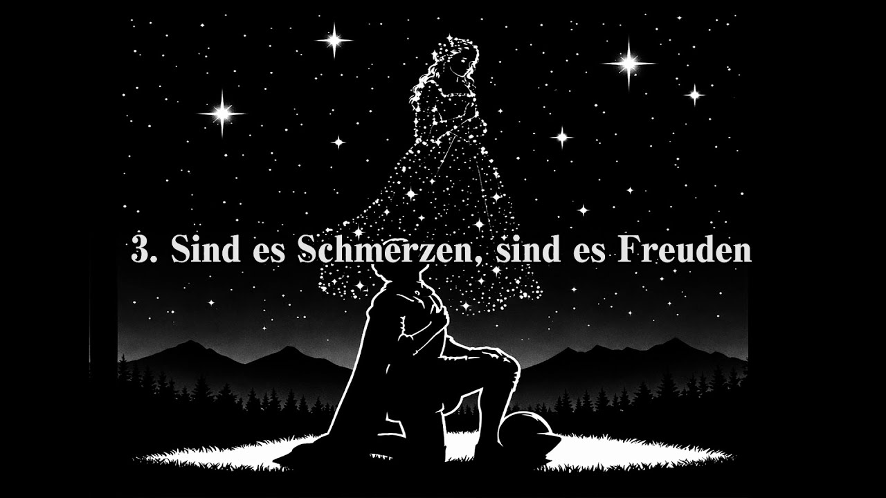 An die Musik - F. Schubert 音楽に寄せて / シューベルト作曲【日本語