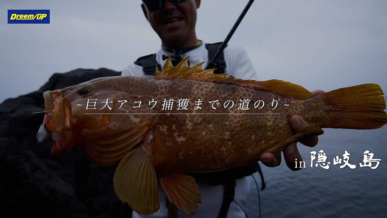 Dreem Con Three 810H RA – DreemUp