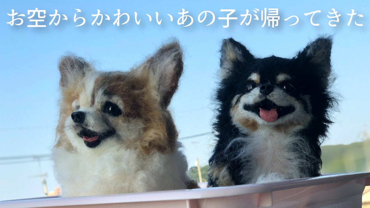 わたわたペット【分身の術】リアル可愛い【羊毛フェルトの犬】 - YouTube