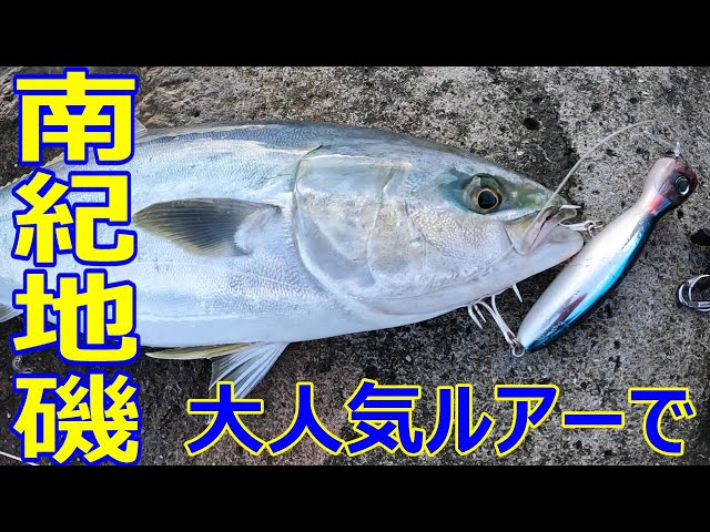 和歌山ロックショア】念願の青物！超人気ルアーにヒット！【ショア