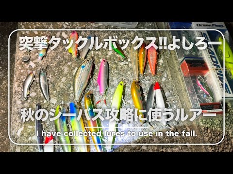 釣り用タックルボックス シーバス用ルアー70個超セット まとめ売り