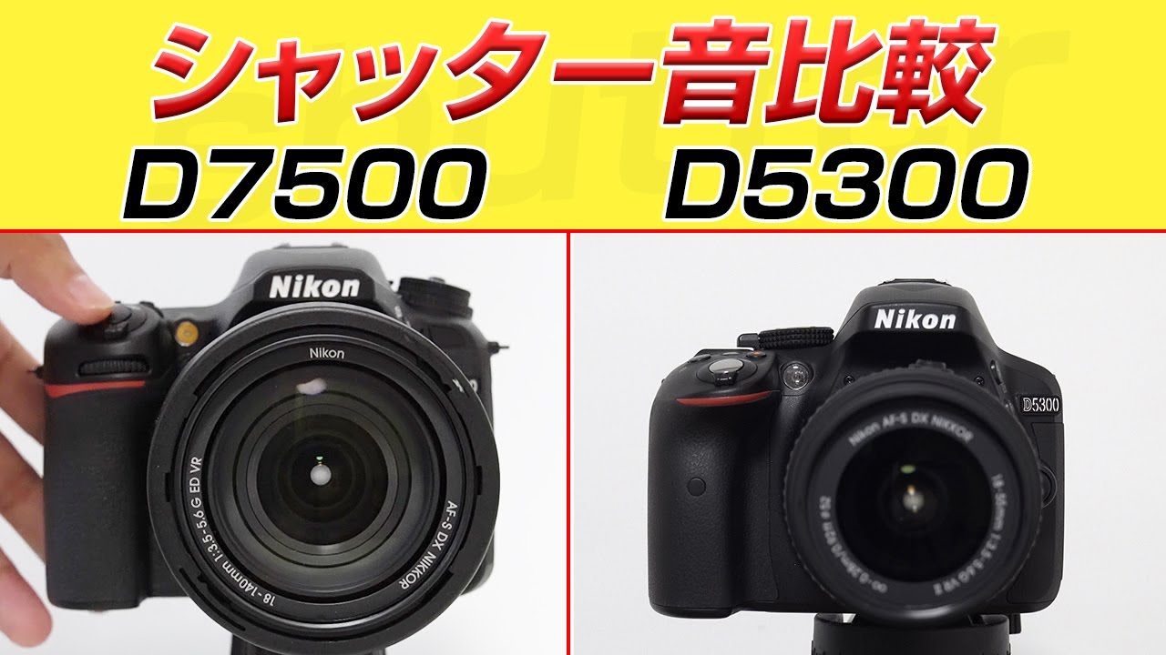 Nikon D7500とD5300シャッター音比較 shutter sound - YouTube