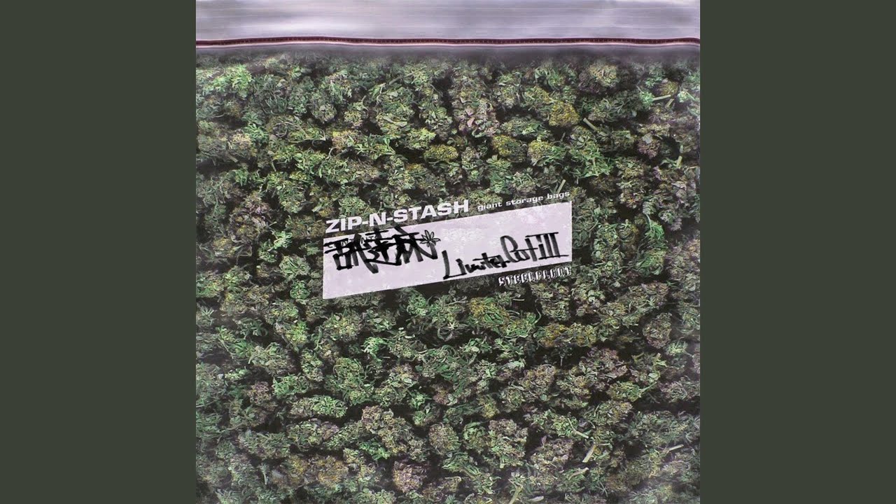 舐達麻 (NAMEDARUMAAZ) – Exclusive Lyrics | Genius Lyrics