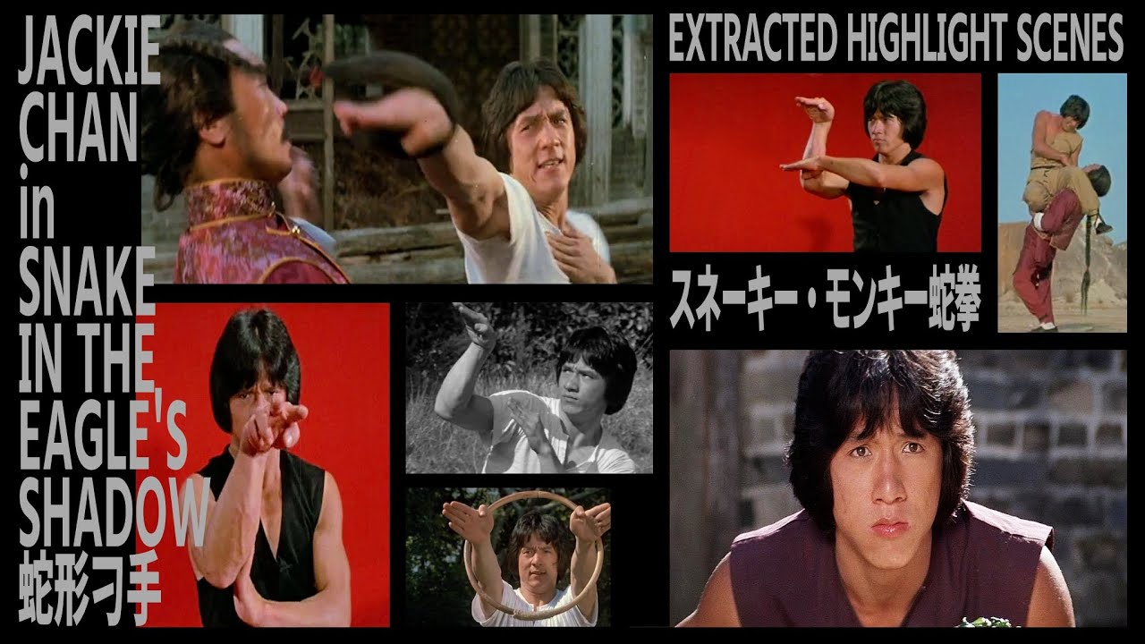 スネーキー・モンキー蛇拳』 JACKIE CHAN in SNAKE IN THE EAGLE'S