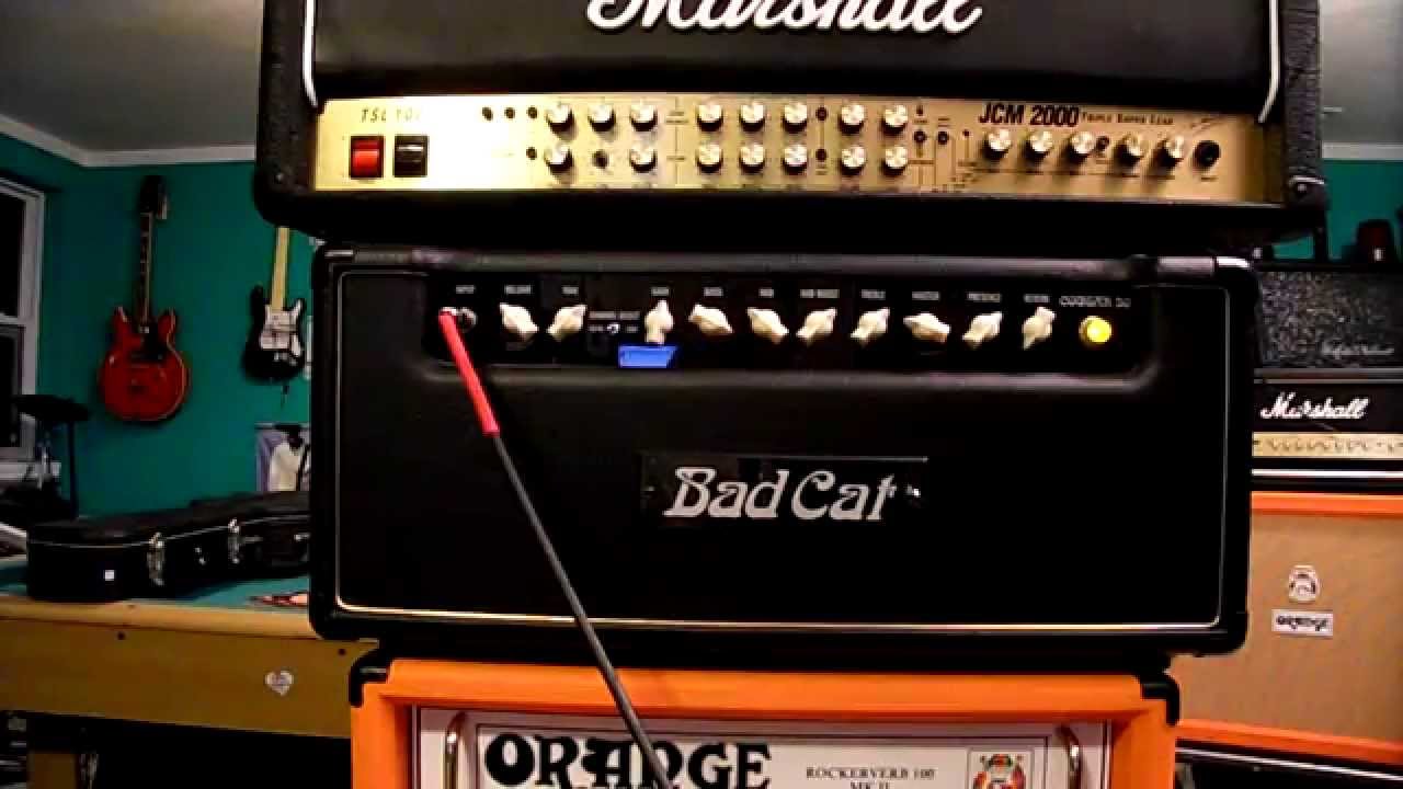 Badcat cougar 50 ツアーケース付き Bad cat Badcat cougar 50 ツアー