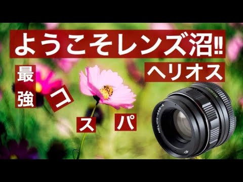 ようこそオールドレンズ沼②【Helios44M 58mm F2】ぐるぐるボケの