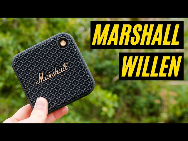 Marshall Willen: All YOU Need to Know in Under 5 Minutes! - YouTube