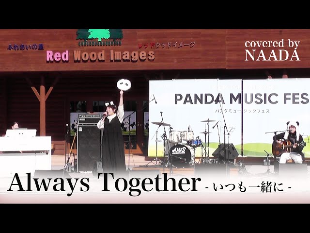 フルカバー/歌詞】Always Together(いつも一緒に) 宮川真奈美
