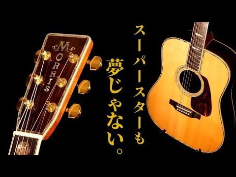 純国産ハカランダ単板モデルがこの価格!?【Morris TF-430】限定モデル