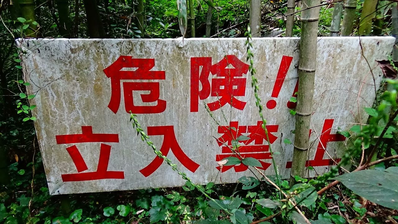 maxresdefault.jpg?sqp=-