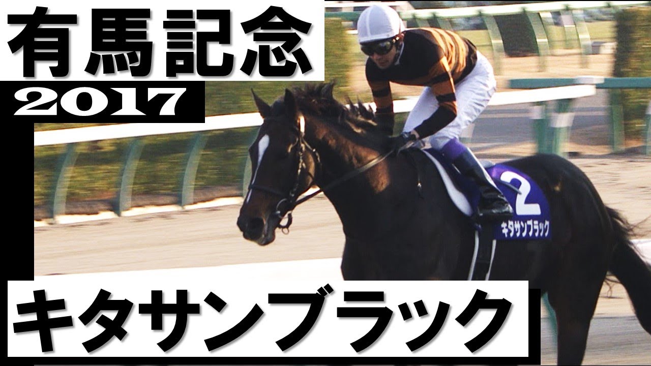 キタサンブラック【有馬記念2017】 - YouTube