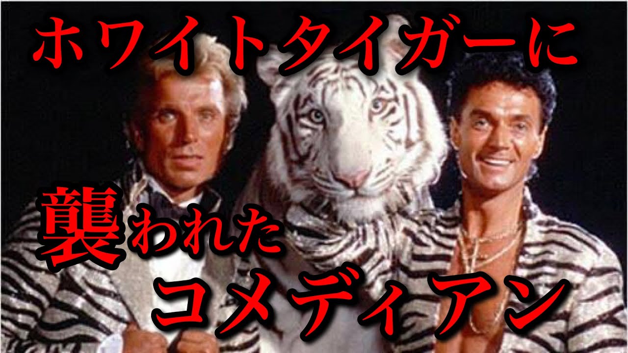 実話】ホワイトタイガーに襲われたコメディアン、ジークフリード&ロイ