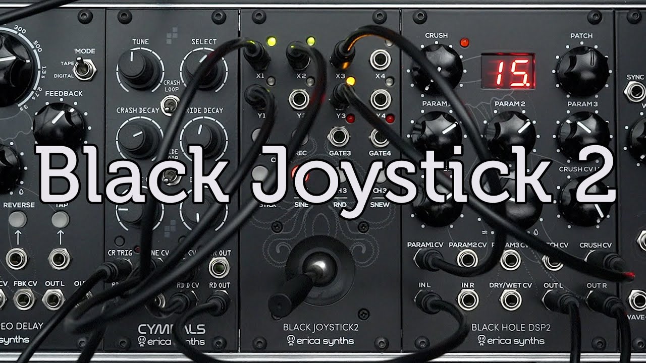 Erica Synths bLack Joystick 2 Eurorack Modular ユーロラック
