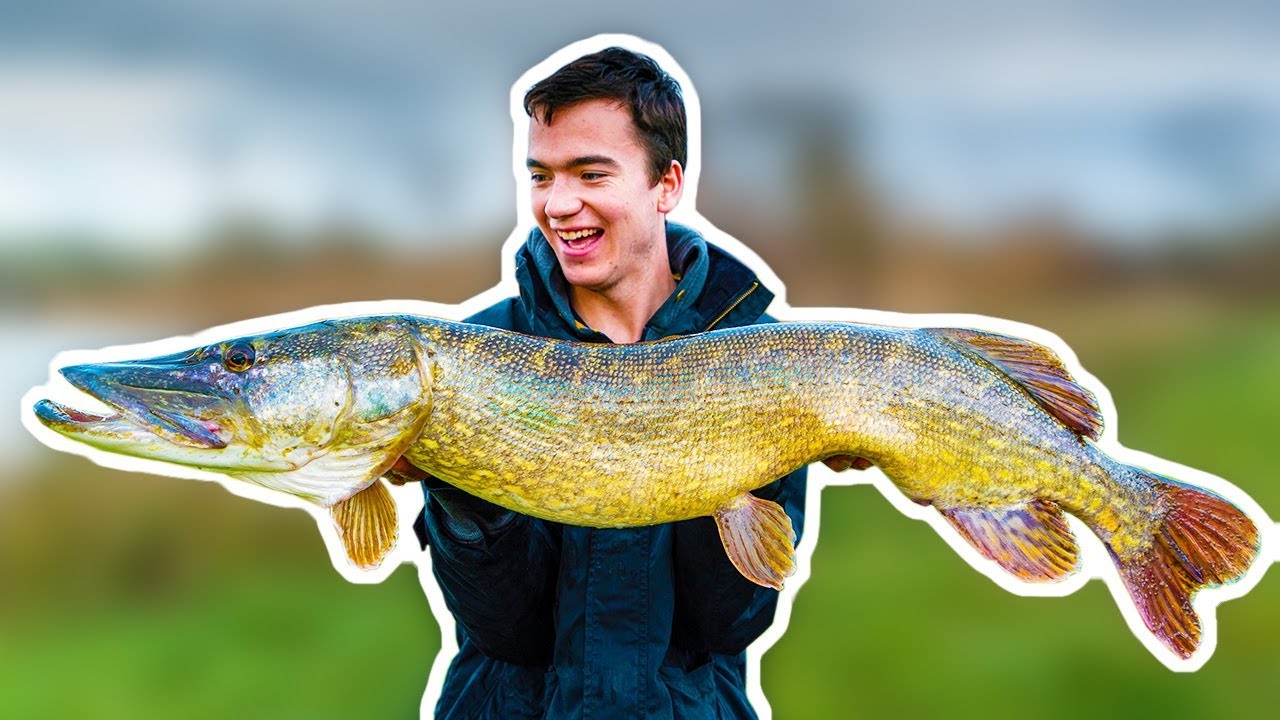 GIANT PIKE in CRYSTAL CLEAR WATER! - YouTube