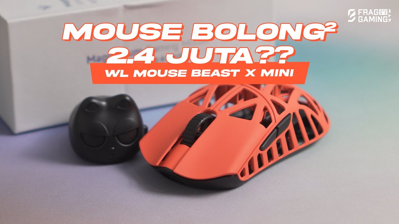 THE MOUSE IS A GLOBAL TOP FPS ELDER 😎 WLMOUSE BEAST X MINI