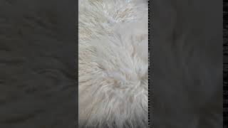 チベットラム フルスキン毛皮 1匹サイズ約60×95cm アイボリー